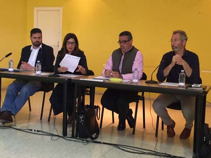 La vicealcaldesa Carmen Hernández, impulsora del Plan Integral de Jinámar, en una reunión de coordinación del proyecto (Foto TA)